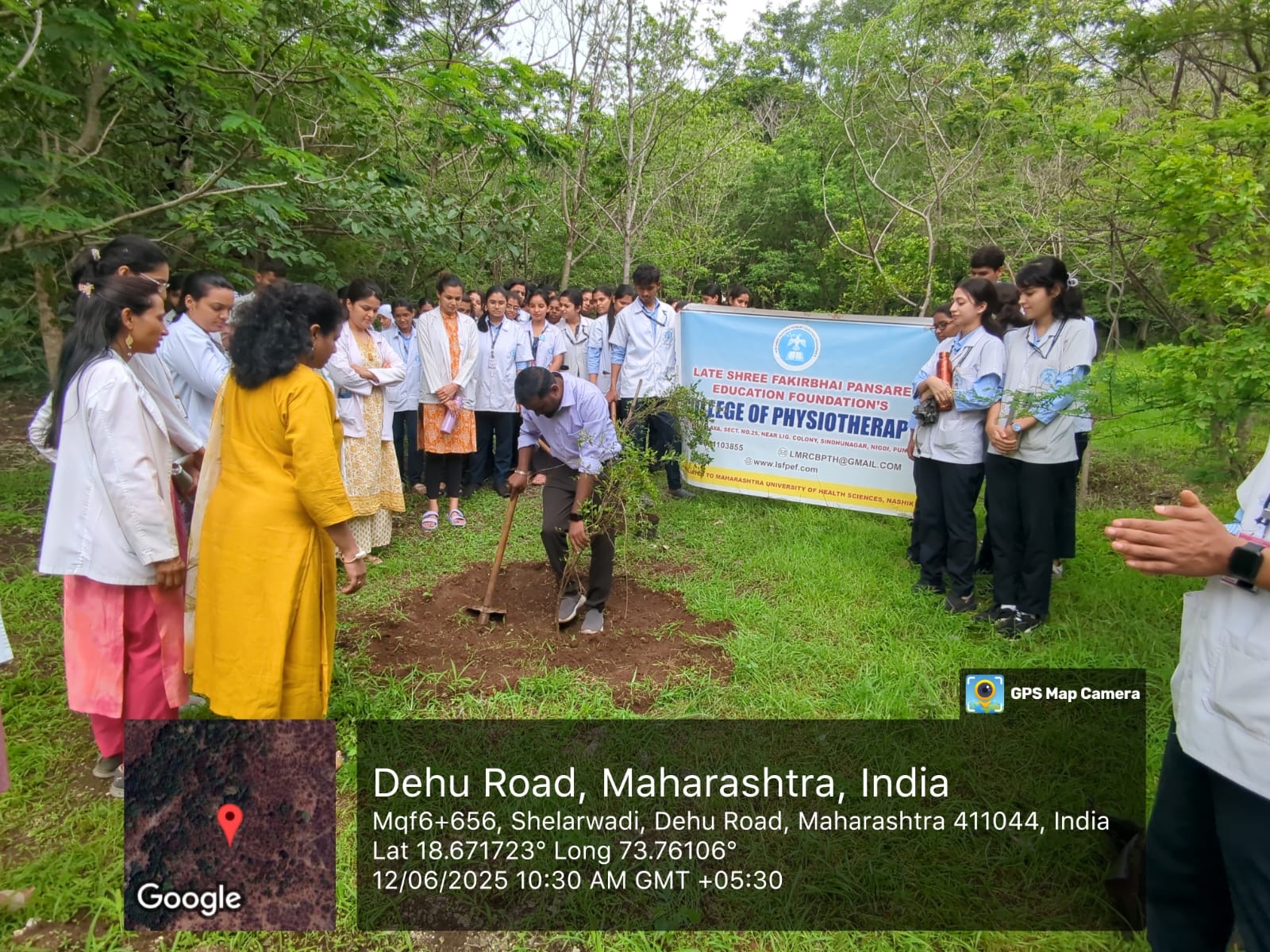 Tree Plantation 3